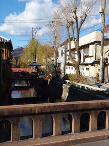 P1147954shuusei.JPG