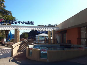 P1147955shuusei.JPG