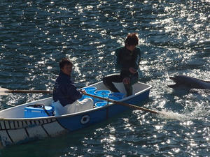 P1148023shuusei.JPG