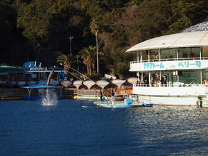 P1148836shuusei.JPG