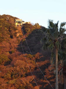 P1148924shuusei.JPG