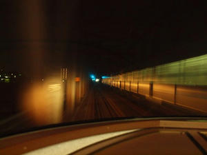 P1148976shuusei.JPG