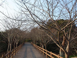 P2030033shuusei.JPG