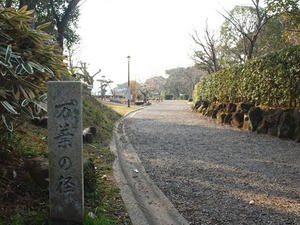 P2030078shuusei.JPG