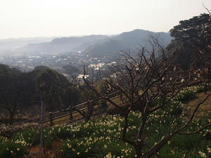 P2030090shuusei.JPG