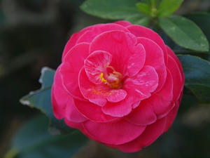 P2030177shuusei.JPG