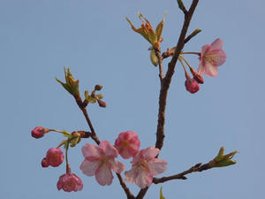 P2030150shuusei.JPG