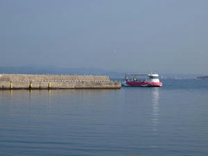 P2030258shuusei.JPG