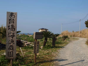 P2030405shuusei.JPG