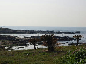 P2030407shuusei.JPG