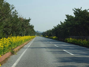 P2030413shuusei.JPG