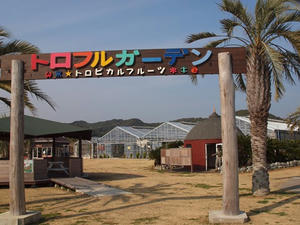 P2030432shuusei.JPG