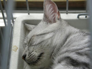 P9110431shuusei.JPG