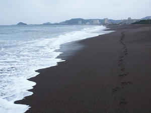 P2040962shuusei.JPG