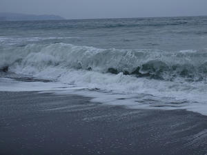 P2040964shuusei.JPG