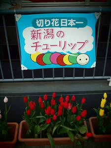 P2082911shuusei.JPG