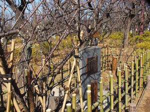 P2082644shuusei.JPG