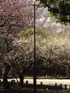 P2082722shuusei.JPG