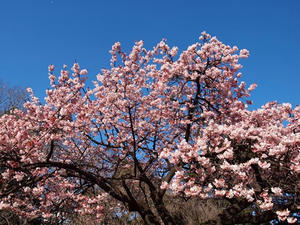 P2082758shuusei.JPG