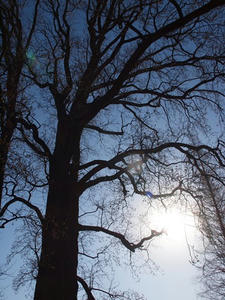 P2082789shuusei.JPG