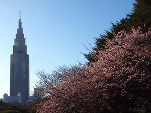 P2082842shuusei.JPG