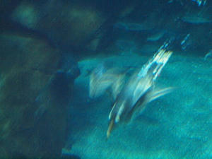 P2042251shuusei.JPG