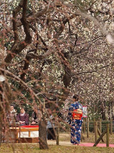 P2112971shuusei.JPG