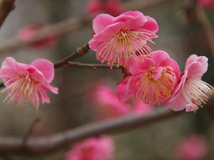 P2113015shuusei.JPG