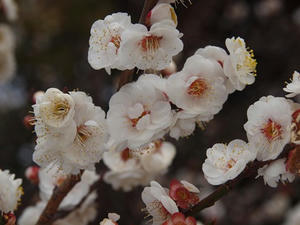 P2113020shuusei.JPG