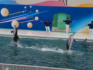 P2041970shuusei.JPG