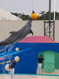 P2042041shuusei.JPG