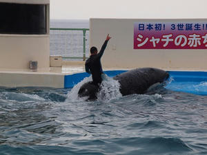 P2042200shuusei.JPG
