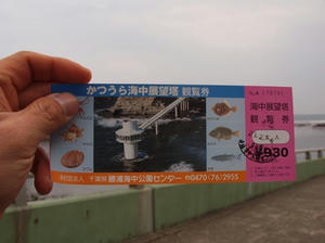 P2042528shuusei.JPG