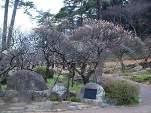P2173261shuusei.JPG