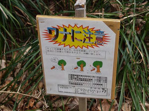 P2173443shuusei.JPG