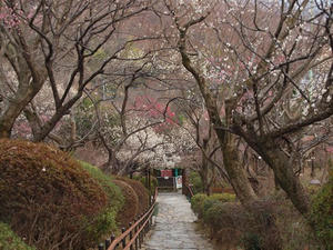 P2113202shuusei.JPG