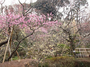 P2113111shuusei.JPG