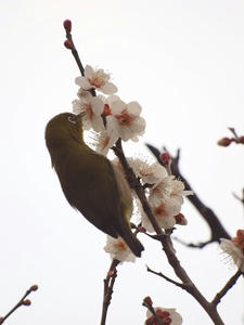 P2113158shuusei.JPG