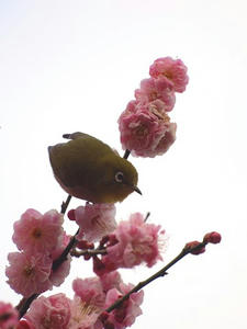 P2113197shuusei.JPG