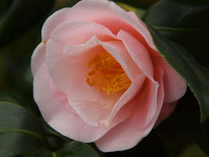 P2173488shuusei.JPG