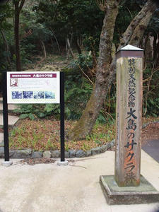 P2173638shuusei.JPG