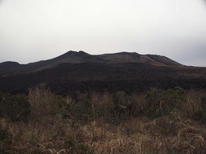 P2173679shuusei.JPG