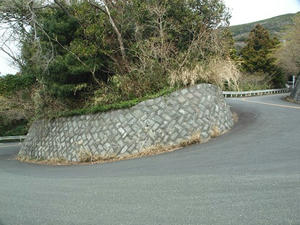 P2173811shuusei.JPG