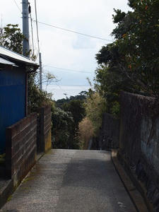 P2173849shuusei.JPG