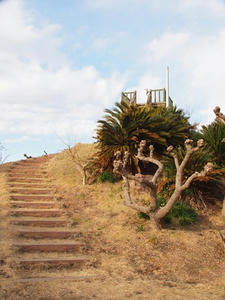 P2173962shuusei.JPG