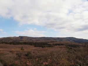 P2173967shuusei.JPG