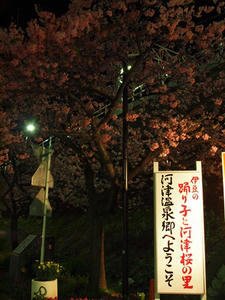 P2174136shuusei.JPG