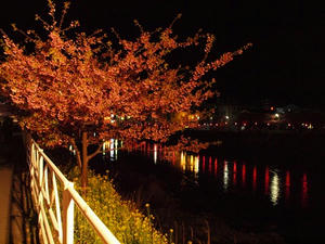 P2174158shuusei.JPG