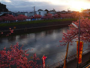 P2184171shuusei.JPG