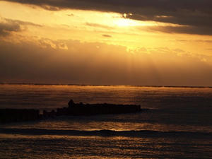 P2184182shuusei.JPG